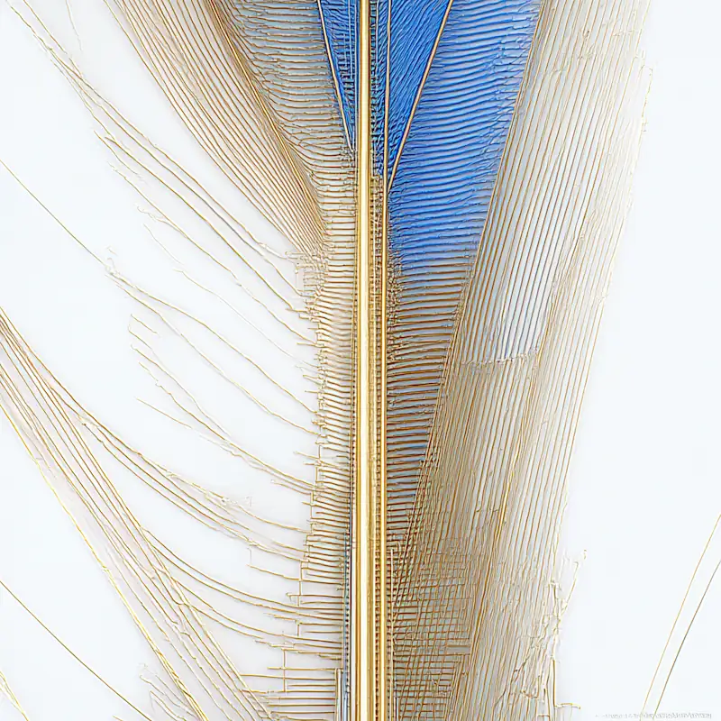 A feather representing elegant simplicity